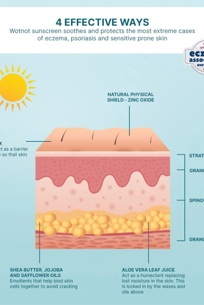 image explaining ways sunscreen protects with ingredients