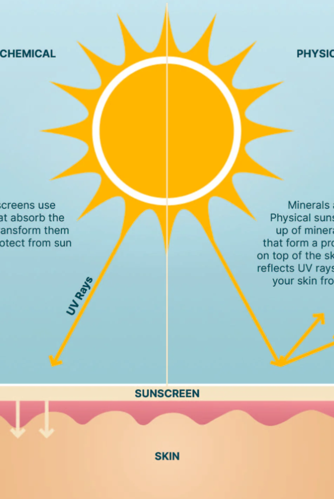 Image explaining how the sunscreen protects skin