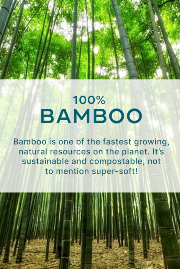 photo of bamboo tree with info on its sustainability