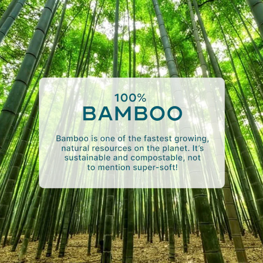 photo of bamboo tree with info on its sustainability