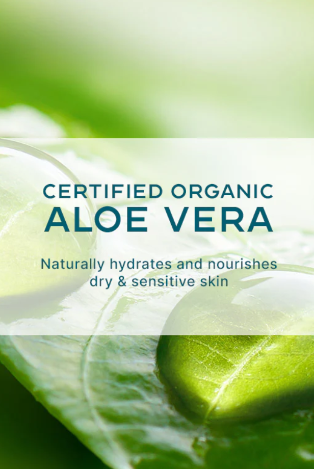 photo of aloe vera leaf with info on affect on skin