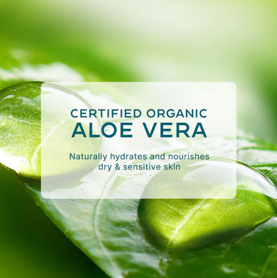 photo of aloe vera leaf with info on affect on skin