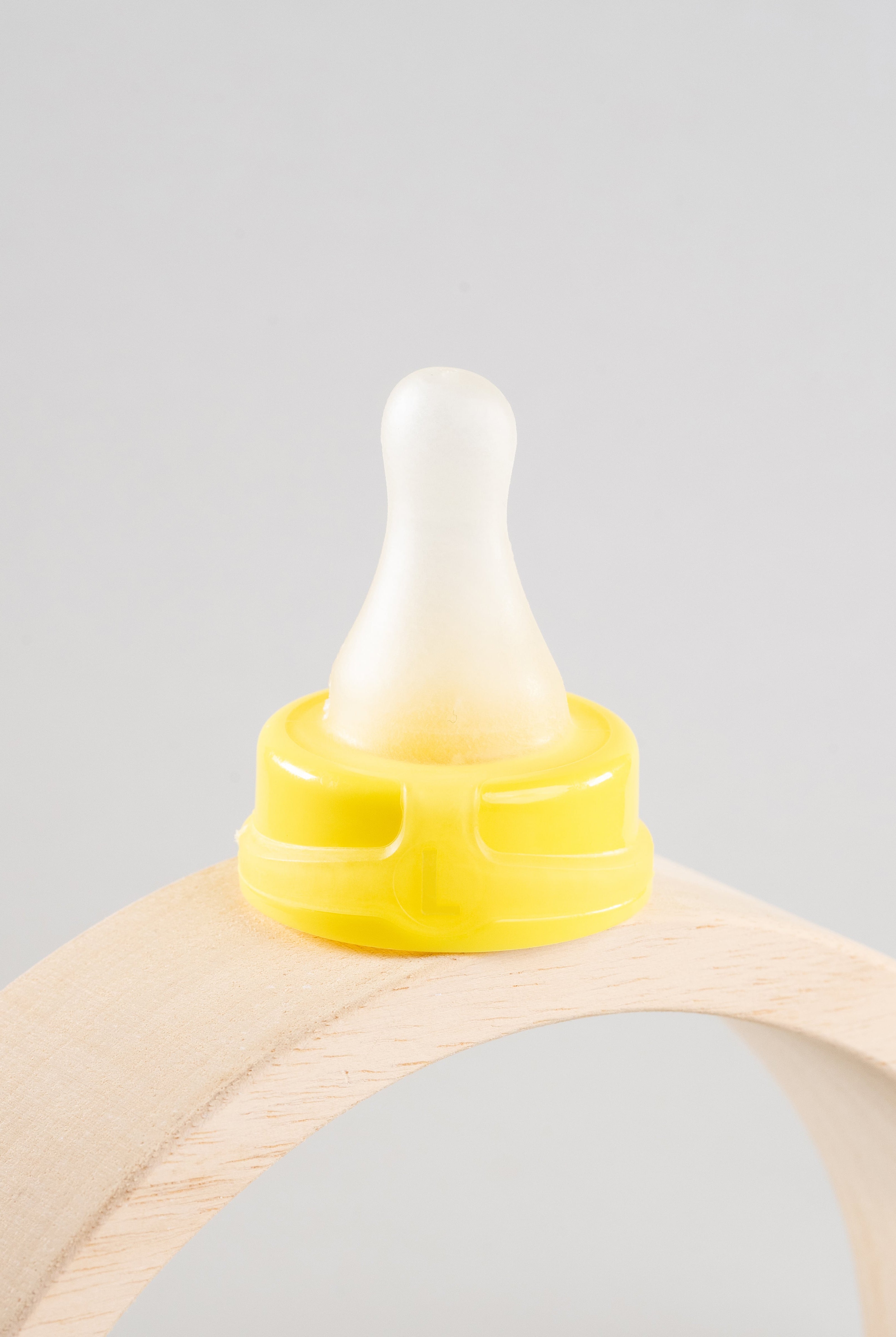 sepal yellow large teat medium flow displayed on a wooden arch.