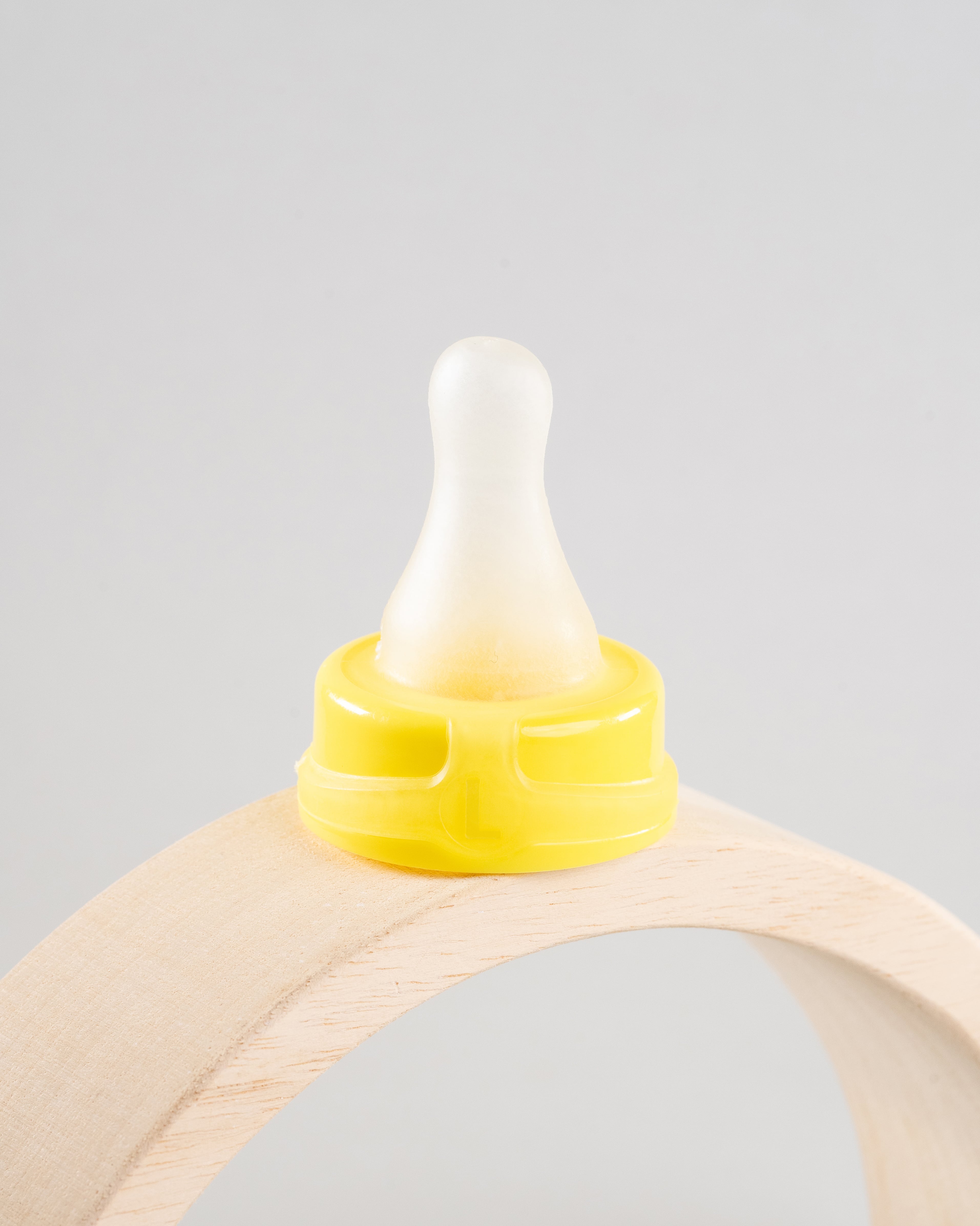 sepal yellow large teat medium flow displayed on a wooden arch.