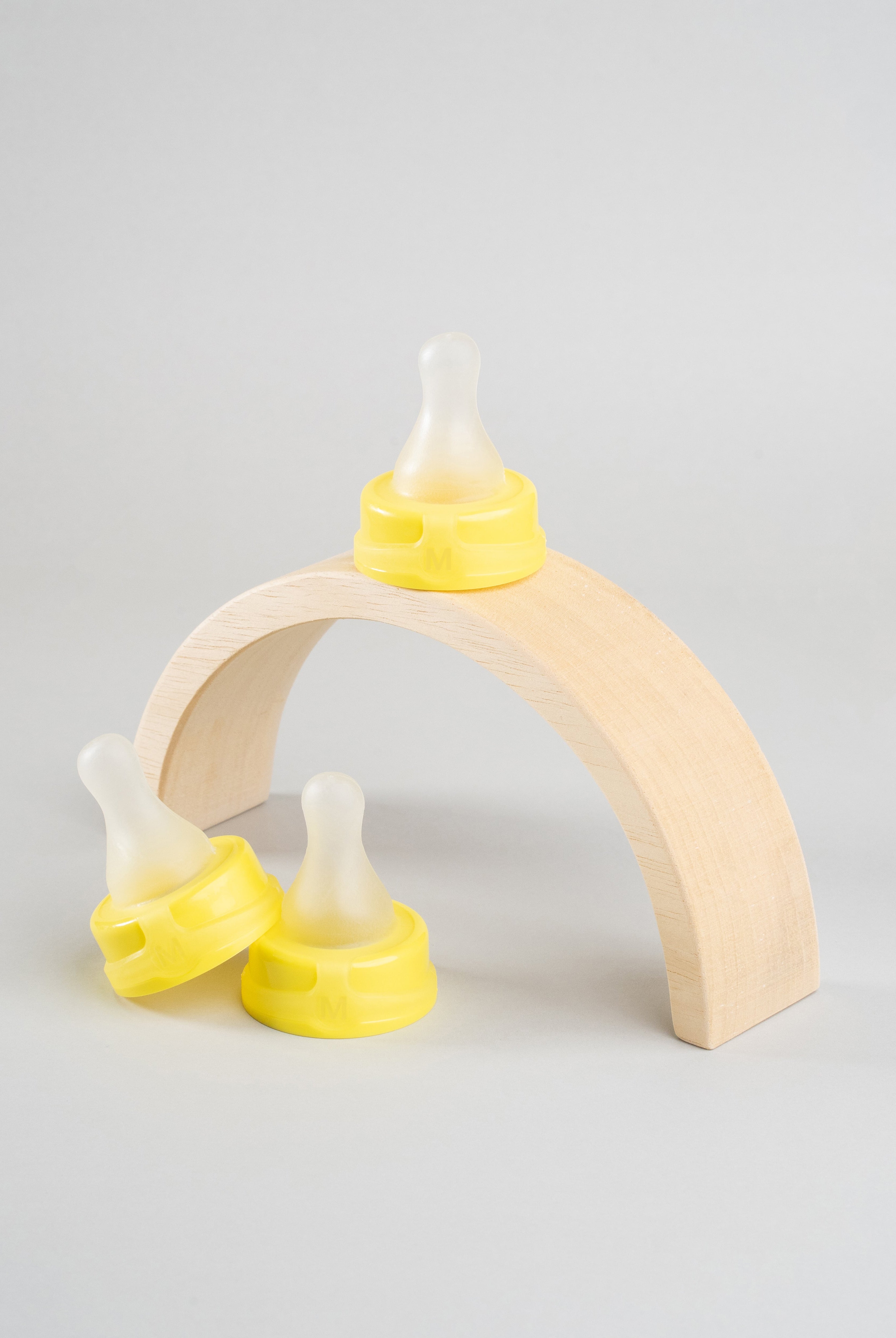 3 Sepal yellow medium teat medium flow displayed on a wooden arch