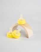 3 Sepal yellow extra small medium flow teats displayed on wooden arch.
