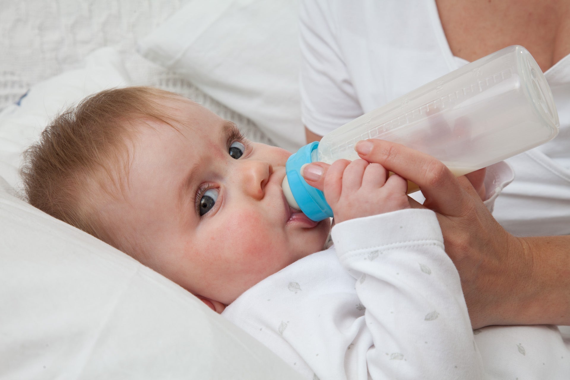 Sepal Feeding Tips
