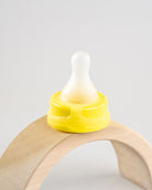 Sepal yellow small teat medium flow displayed on wooden arch